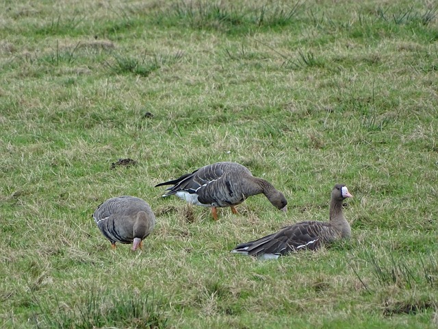 本赛季五大联赛场均积分前20：拜仁、巴萨、皇马、阿森纳前4